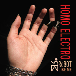 Homo Electro (2007)